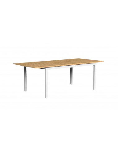 TIMBER Table à manger extensible pour l'extérieur